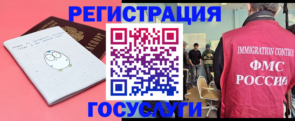 найти адрес прописки в Полярных Зорях